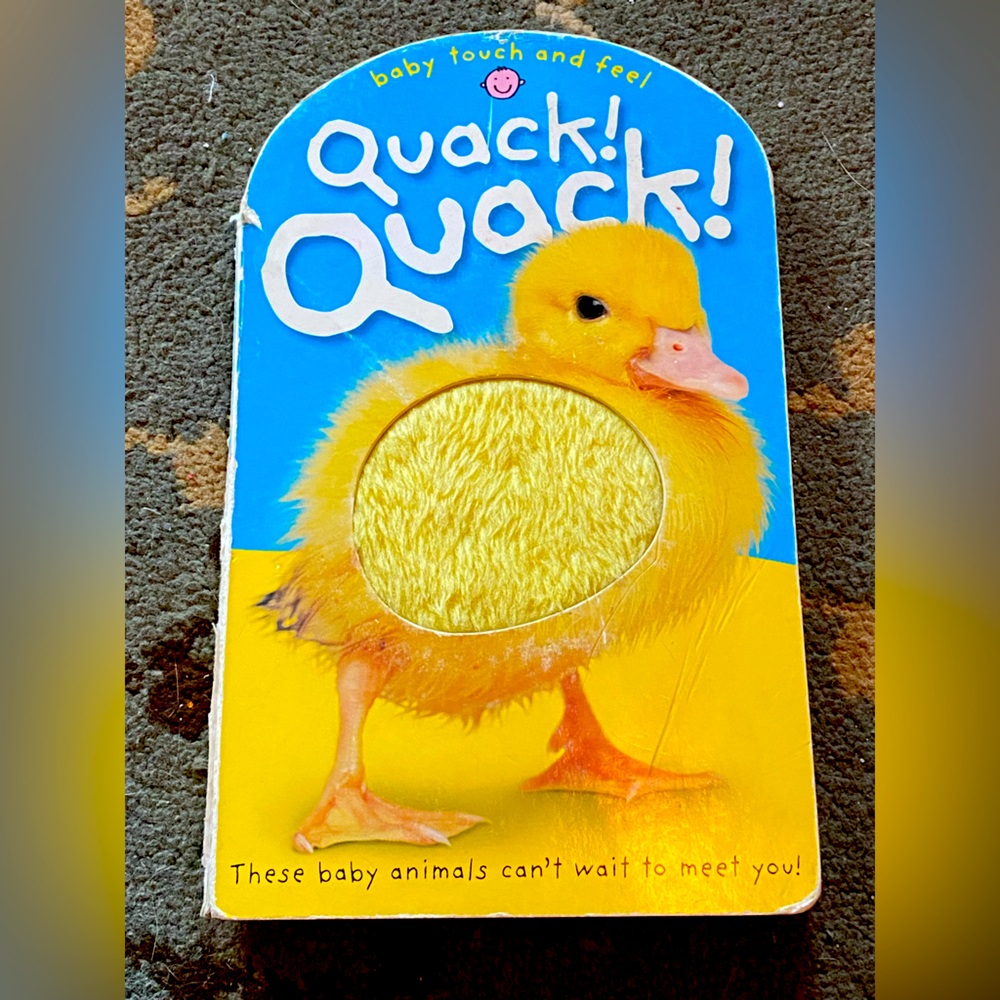 Baby Touch & FeelQuack! Quack! These Baby Animals Can't Wait to Meet You
